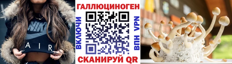 Псилоцибиновые грибы Cubensis  закладка  Полысаево 
