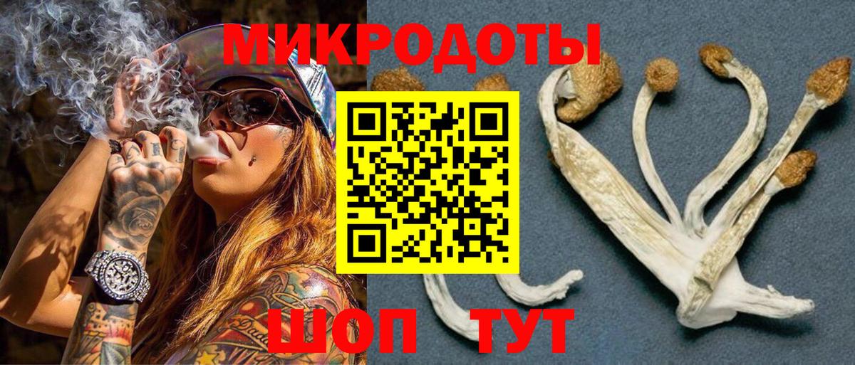 Галлюциногенные грибы MAGIC MUSHROOMS Полысаево
