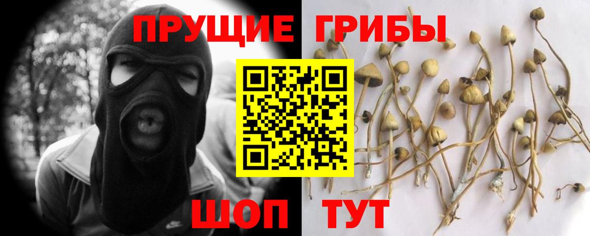 Полысаево  Псилоцибиновые грибы Magic Shrooms  Вход с VPN 